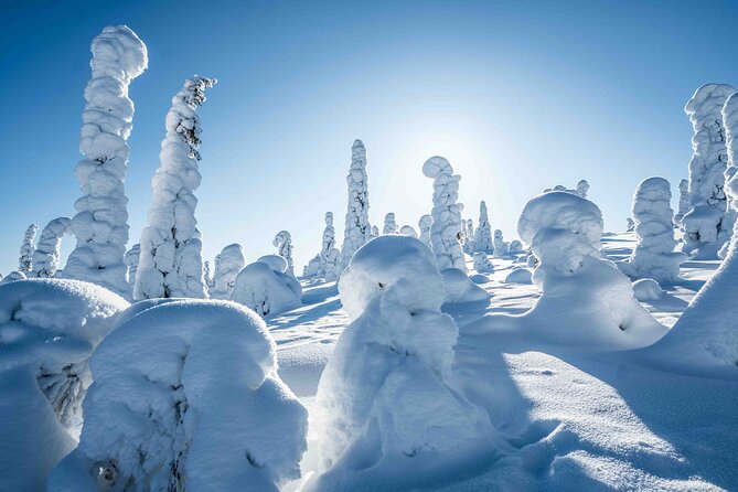 Riisitunturi wilderness adventure - Warm Clothing, Winter Boots, and Why It Changes Your Experience