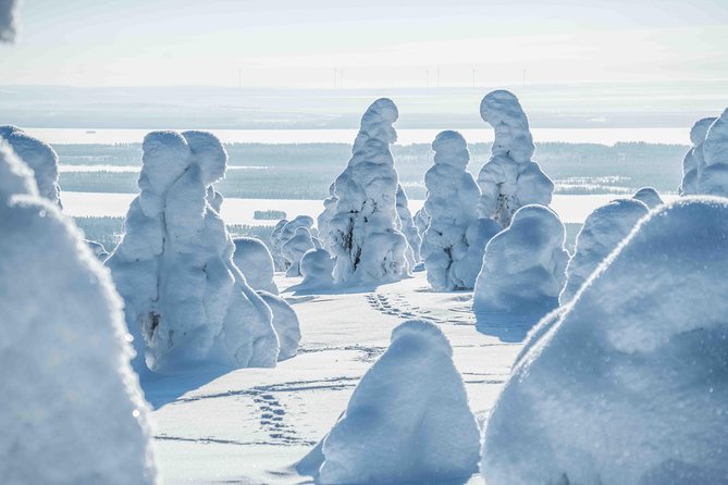 Riisitunturi wilderness adventure - Lunch, Snacks, Hot Drinks: The Arctic Reset You’ll Appreciate