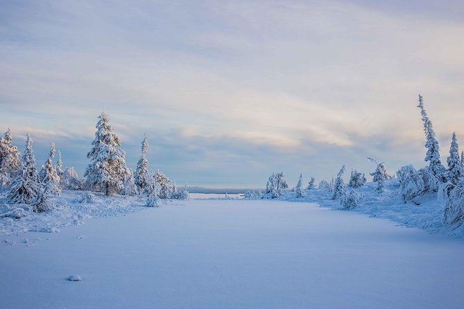 Riisitunturi wilderness adventure - The Photos You Take vs. the Photos You Get Back