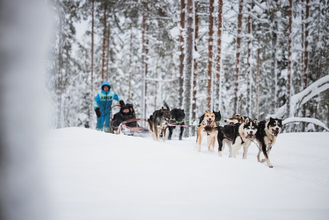 Rovaniemi 2 days Activities Package - Logistics You’ll Thank Yourself For