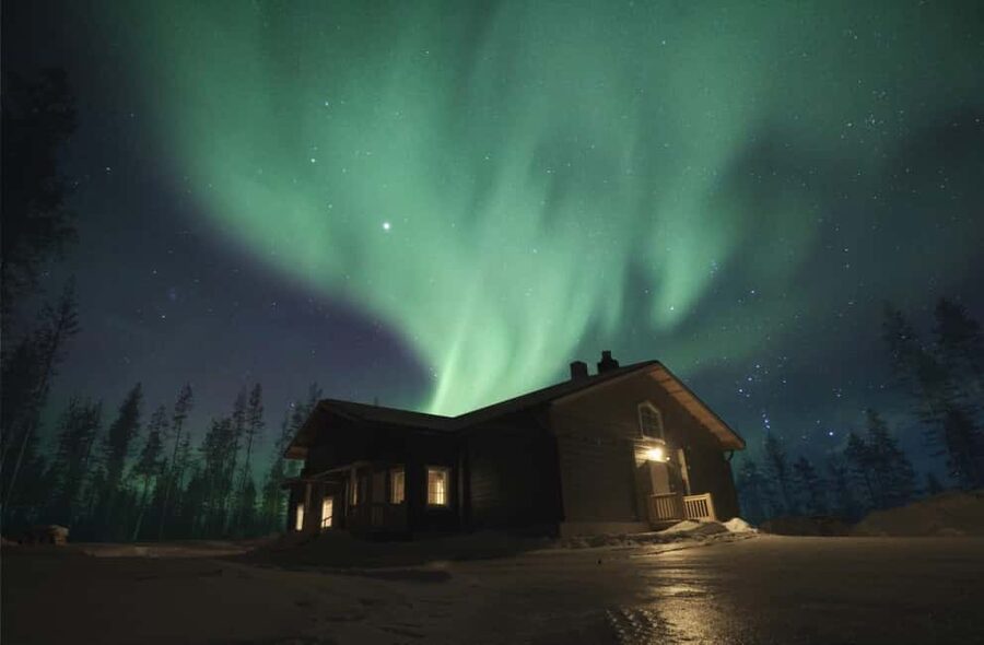 Rovaniemi: 2km Aurora Reindeer Safari Through the Forest - Nighttime Reindeer Safari in Rovaniemi: The vibe and the promise