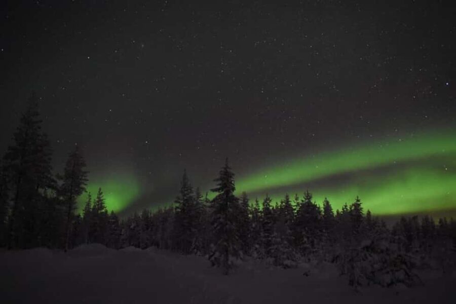 Rovaniemi: 2km Aurora Reindeer Safari Through the Forest - The reindeer sled ride: 2–2.5 km of quiet forest magic