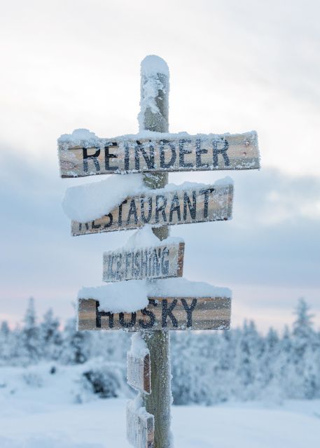 Rovaniemi: 2km Reindeer Sled Ride Through the Forest - Key things that make this sled ride worth your time