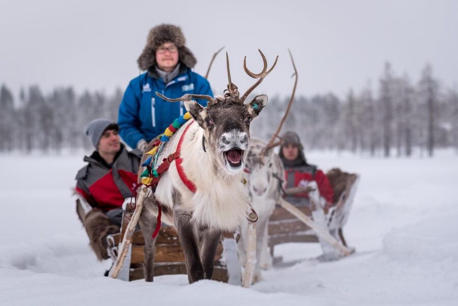 Rovaniemi: 2km Reindeer Sled Ride Through the Forest - Winter gear and the guided farm welcome: comfort first