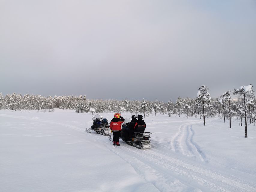 Rovaniemi: 3-Hour Snowmobile Safari in Lapland - Price and Value: Is $253 Actually Fair?