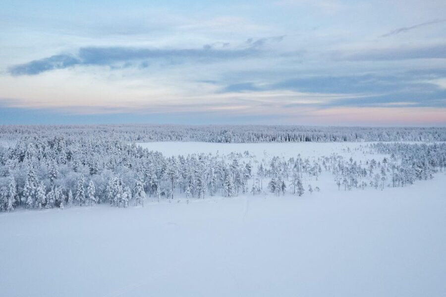 Rovaniemi: 4-5 km Self-Drive Husky Sled Through the Forest - Key Highlights I’d Prioritize