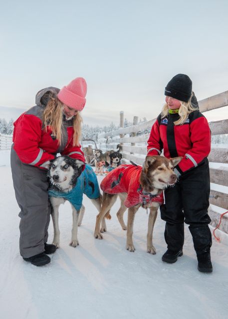 Rovaniemi: 4-5 km Self-Drive Husky Sled Through the Forest - A Quiet Husky Farm Ride Near Rovaniemi