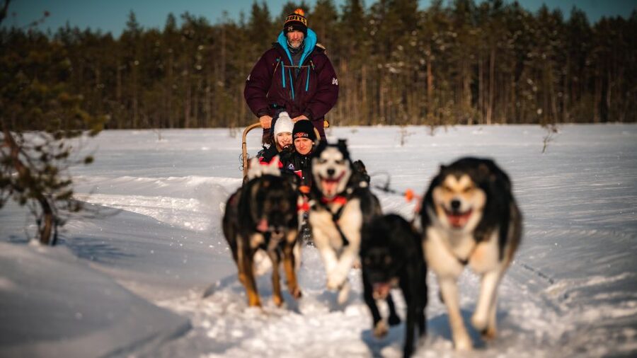 Rovaniemi: 4-5 km Self-Drive Husky Sled Through the Forest - Getting Dressed Right: Warm Gear and a Real Safety Brief