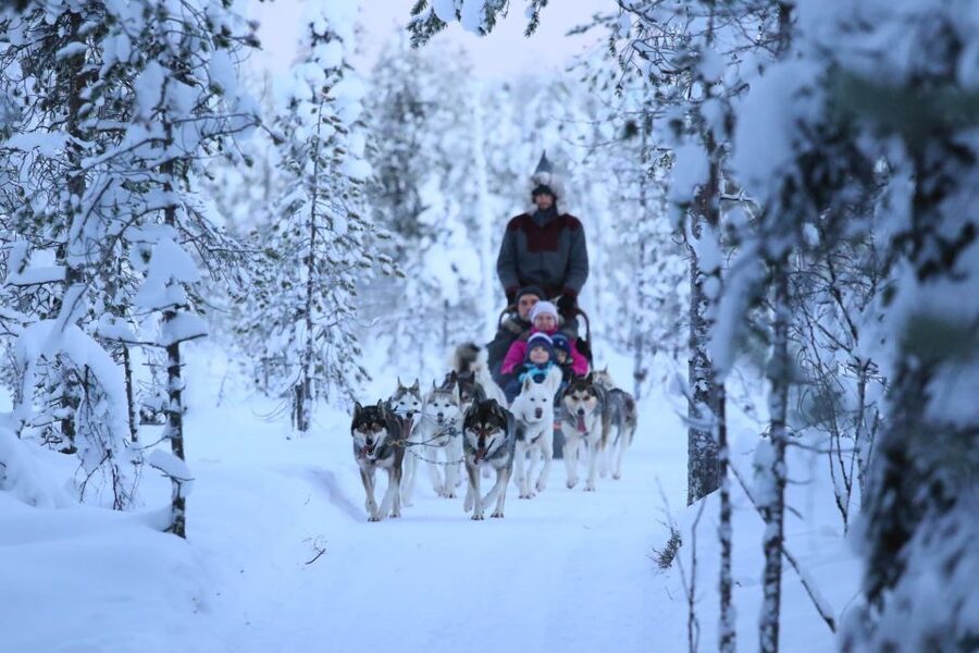 Rovaniemi: 7km Self-Drive Husky Sleigh Ride Adventure - Kota/Tipi Stop: Fire, Warm Drinks, and the Stories That Make It Stick