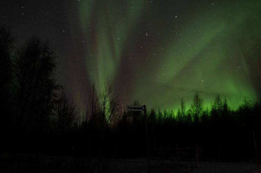 Rovaniemi: 97.3% Success Rate Aurora Group Tour with Photos - Why This Aurora Tour Feels More Thoughtful Than a Random Chase