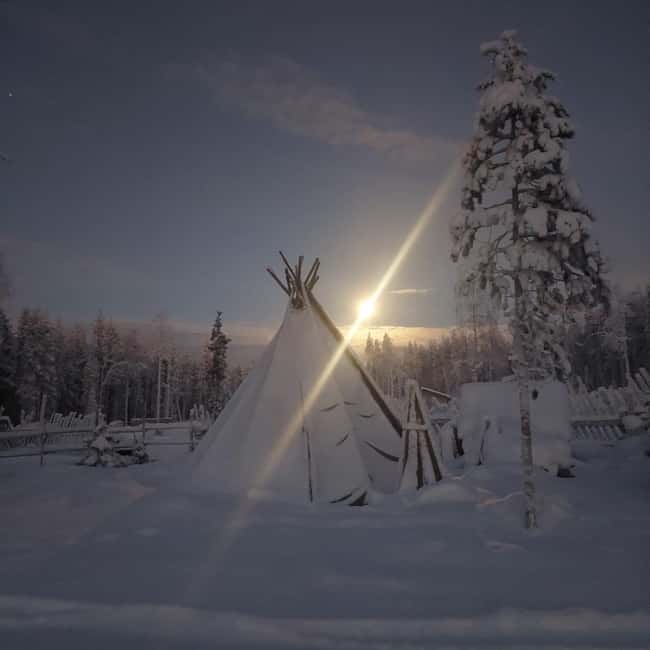 Rovaniemi: A Day Ticket to Kotatieva - A 1-day loop that keeps you active (10am–3pm)