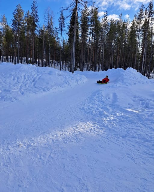 Rovaniemi: A Day Ticket to Kotatieva - Navigating the price: is $93 good value?