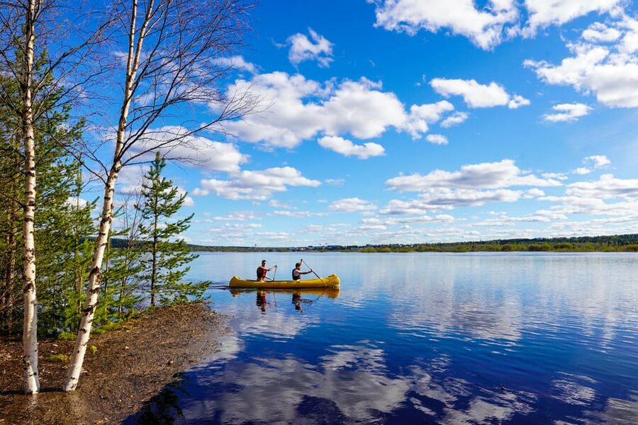 Rovaniemi: All-Day Canoe Adventure - Arctic wildlife and views: what you can expect (and what you can’t force)