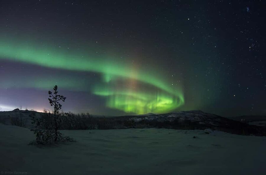 Rovaniemi: All-Inclusive Ranua Zoo Excursion & Aurora Dinner - How This 12-Hour Rovaniemi Day Flows From Zoo to Aurora