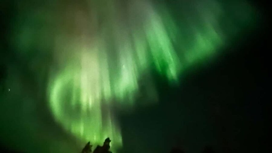 Rovaniemi: All-Inclusive Ranua Zoo Excursion & Aurora Dinner - Entering Ranua Wildlife Park: Polar Bears, Reindeer, and Arctic Wildlife
