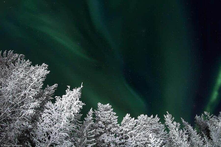 Rovaniemi: All-Inclusive Ranua Zoo Excursion & Aurora Dinner - The 3-Hour Breather in Rovaniemi: Why This Break Helps the Night