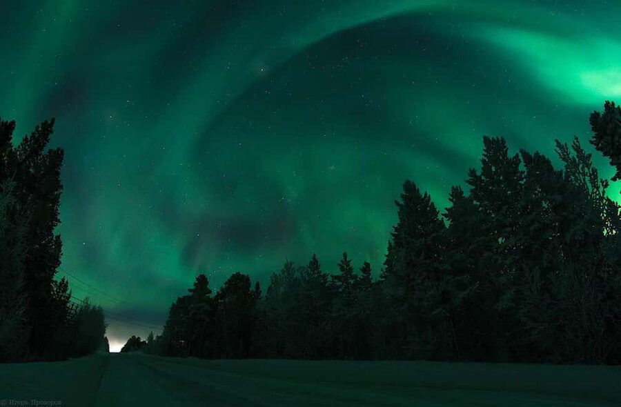 Rovaniemi: All-Inclusive Ranua Zoo Excursion & Aurora Dinner - Lunch at the Zoo and the Fazer Chocolate Stop You’ll Actually Want
