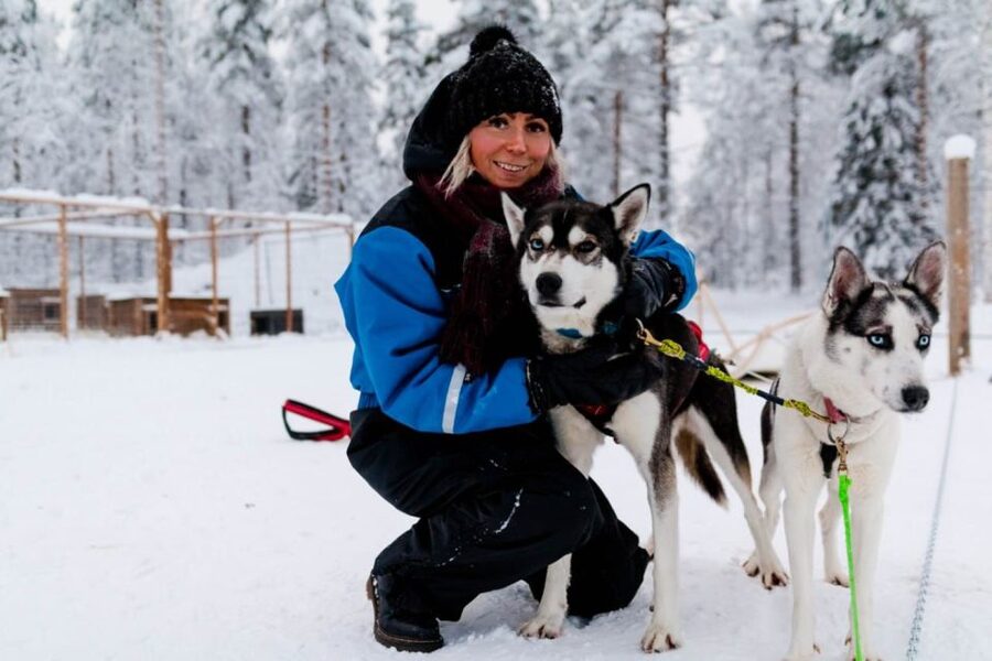 Rovaniemi: Apukka Husky Adventure 7km, self-driven - 7 km at Apukka: what self-driven husky mushing really feels like