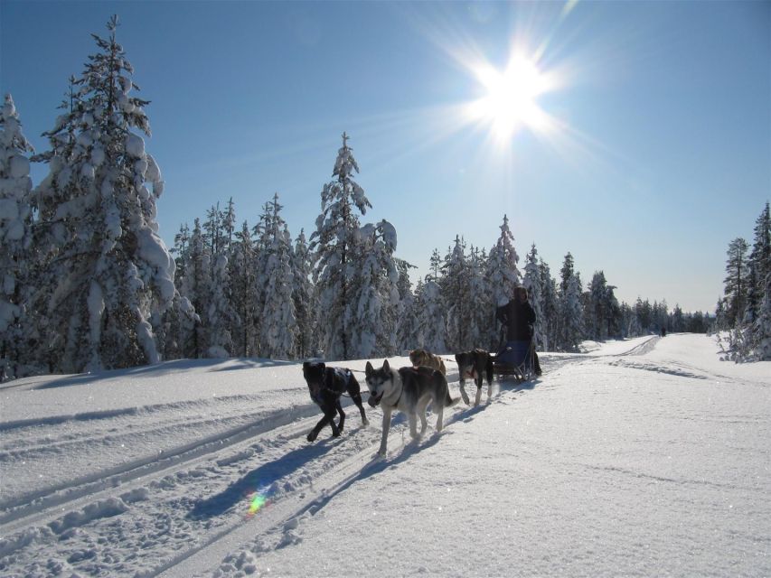 Rovaniemi: Apukka Husky Adventure 7km, self-driven - Gear up fast: winter clothing that actually helps