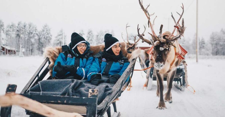 Rovaniemi: Apukka Reindeer Journey - Meeting the Reindeer: Calm Animals and Clear Rules