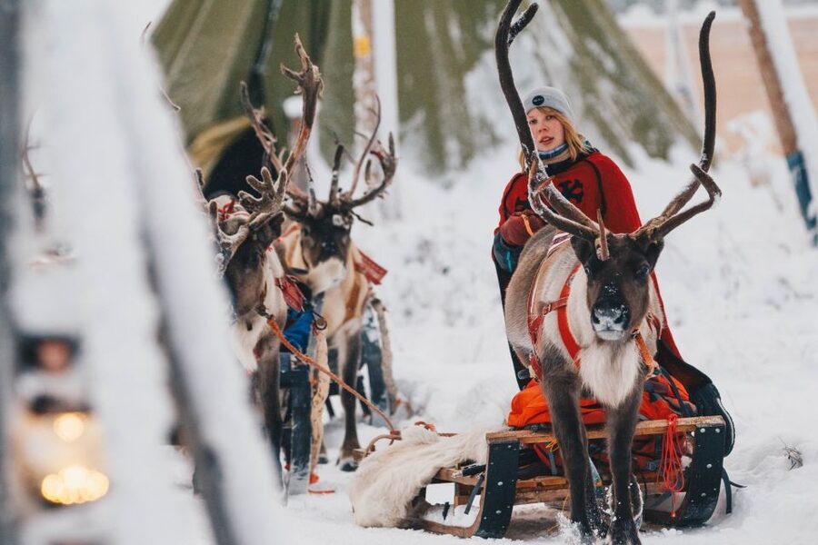 Rovaniemi: Apukka Reindeer Journey - How the Guides Make It Work (And Why Names Keep Showing Up)