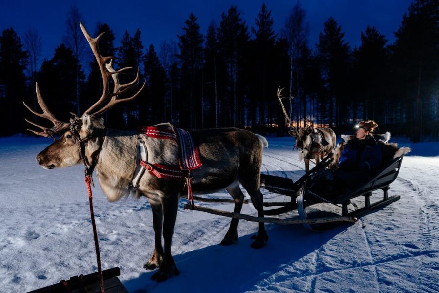 Rovaniemi: Apukka Reindeer Sleigh Ride at Night - Lapland outside the city: what makes this ride feel special