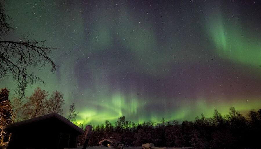 Rovaniemi: Apukka Reindeer Sleigh Ride at Night - The 3-hour flow: pickup, sleigh glide, bonfire stories