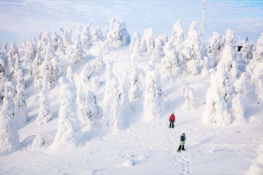 Rovaniemi: Arctic Animals Sleigh Rides and Wildlife Zoo - Practical Tips for Winter Comfort (So You Can Enjoy It)