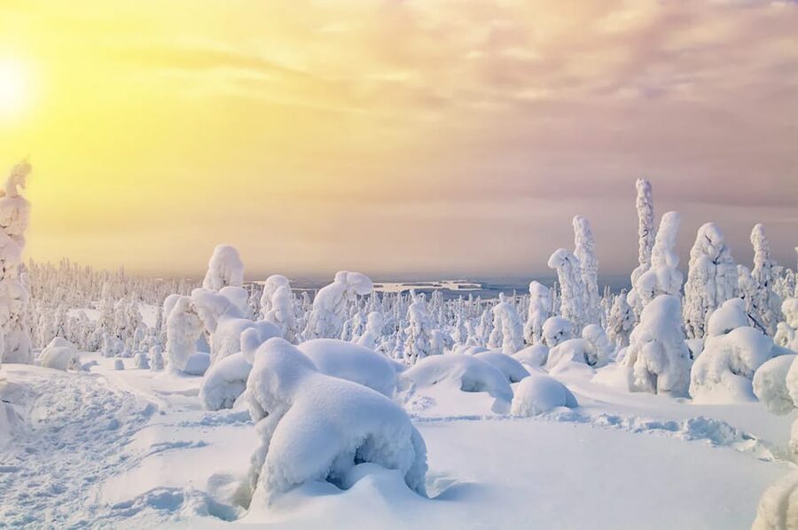 Rovaniemi: Arctic Animals Sleigh Rides and Wildlife Zoo - Reindeer Sleigh Ride: It’s the Snow That Runs the Schedule