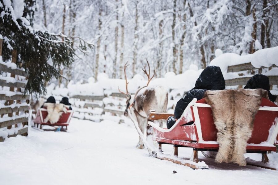 Rovaniemi: Arctic Circle Highlights by Snowmobile - Lunch in Lapland cold: traditional salmon soup and warm comfort