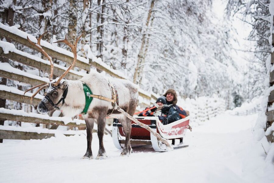 Rovaniemi: Arctic Circle Highlights by Snowmobile - Santa Claus Village: Arctic Circle crossing and Santa time