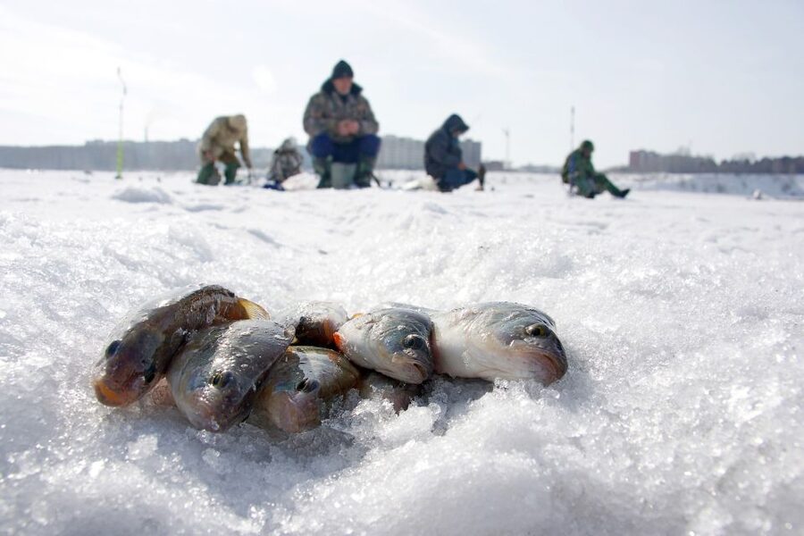 Rovaniemi: Arctic Circle Ice Fishing Experience - Gear and clothing: you’re covered, but plan for wet snow