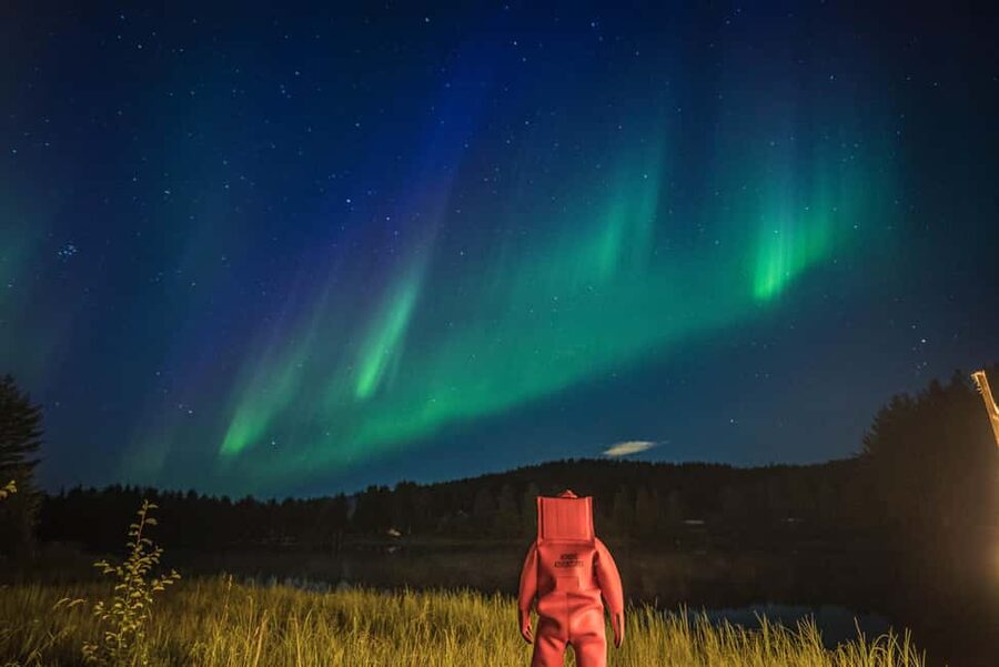 Rovaniemi: Arctic Ice Floating and Northern Lights Tour - Floating Under Snowy Trees: The Aurora Hunt Part of the Fun