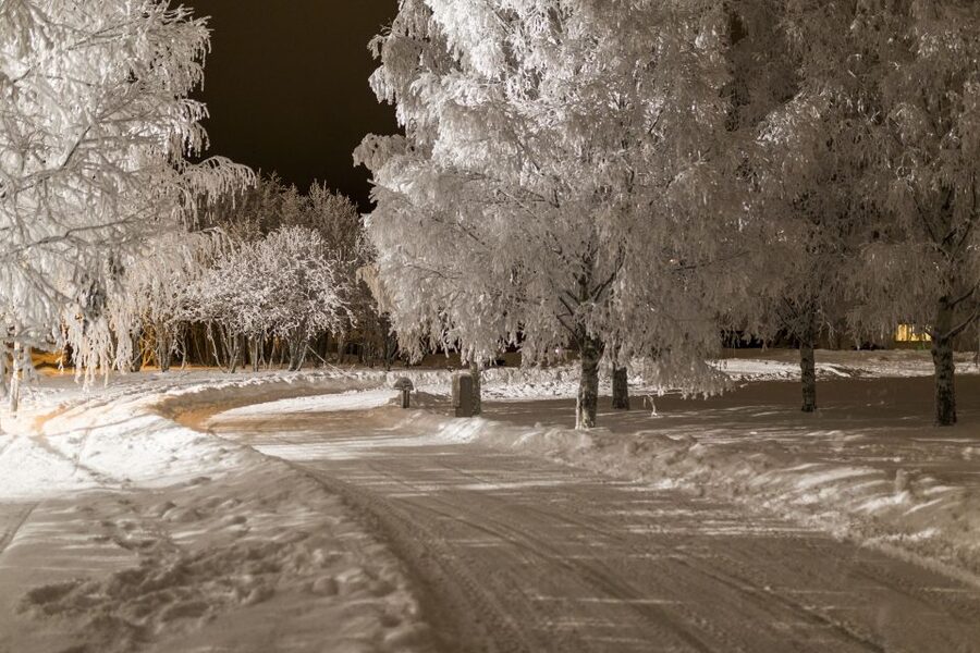 Rovaniemi: Arctic Ice Karting Tour - Key Points That Make This One Worth It