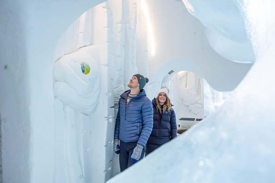 Rovaniemi: Arctic SnowHotel Tour - Ice Slide, Marshmallow Breaks, and the Warm-Up Reset