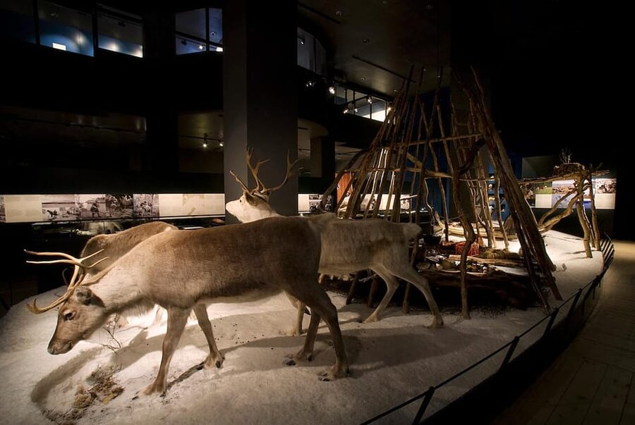 Rovaniemi: Arktikum Science Centre and Museum Entry Ticket - The Arctic Seasons film: a helpful time-travel reset