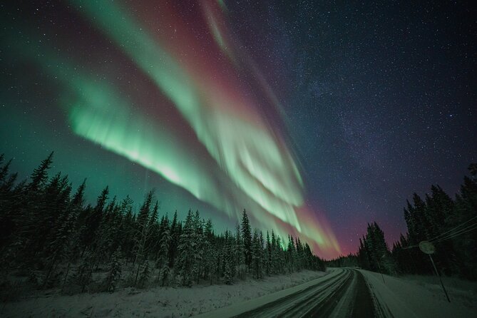 Rovaniemi: Aurora Activity Guarantee - 97% Success Rate Tour - Key Things That Make This Aurora Tour Worth Your Time