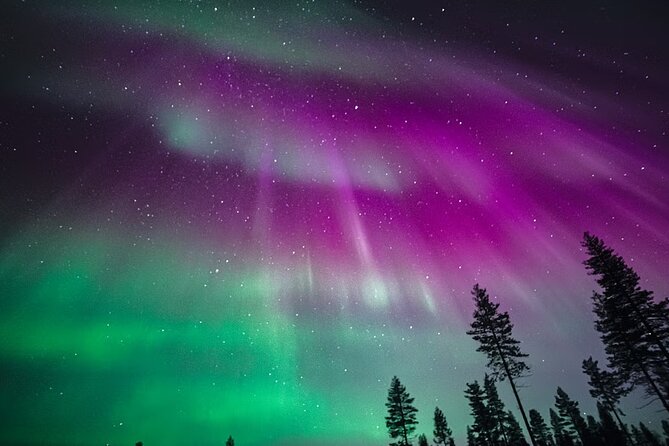 Rovaniemi: Aurora Activity Guarantee - 97% Success Rate Tour - Aurora Activity Guarantee: What 97% Really Means in Rovaniemi