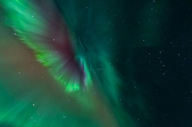 Rovaniemi: Aurora Activity Guarantee - 97% Success Rate Tour - Stop 2: Lapland Open-Sky Spot (First Real Shot)