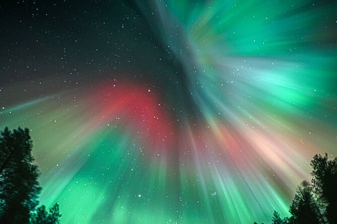 Rovaniemi: Aurora Activity Guarantee - 97% Success Rate Tour - Stop 4: Back to Lapland for the Best Show
