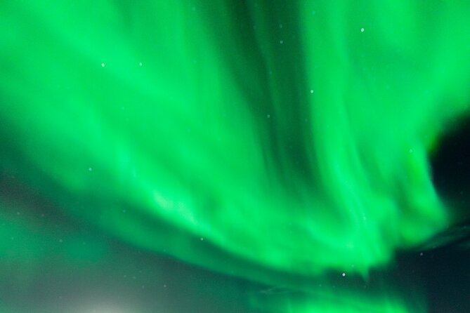 Rovaniemi: Aurora Activity Guarantee - 97% Success Rate Tour - Your Transport Setup: Minivans, Minibuses, and Bigger Night Moves