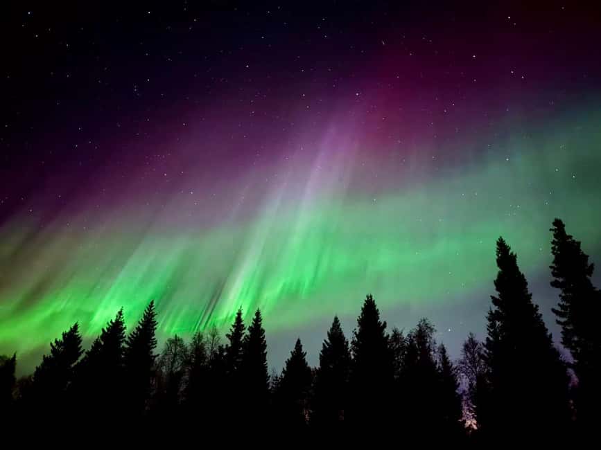 Rovaniemi: Aurora BBQ at the Best Spots - Group size and the car ride: small group, big attention