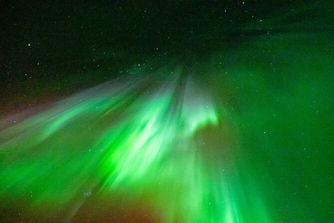 Rovaniemi: Aurora BBQ at the Best Spots - Rovakatu 25 at 19:30: winter clothing and a smooth 20:00 start
