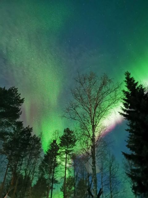 Rovaniemi: Aurora BBQ at the Best Spots - Price and value: how to judge the $111 cost