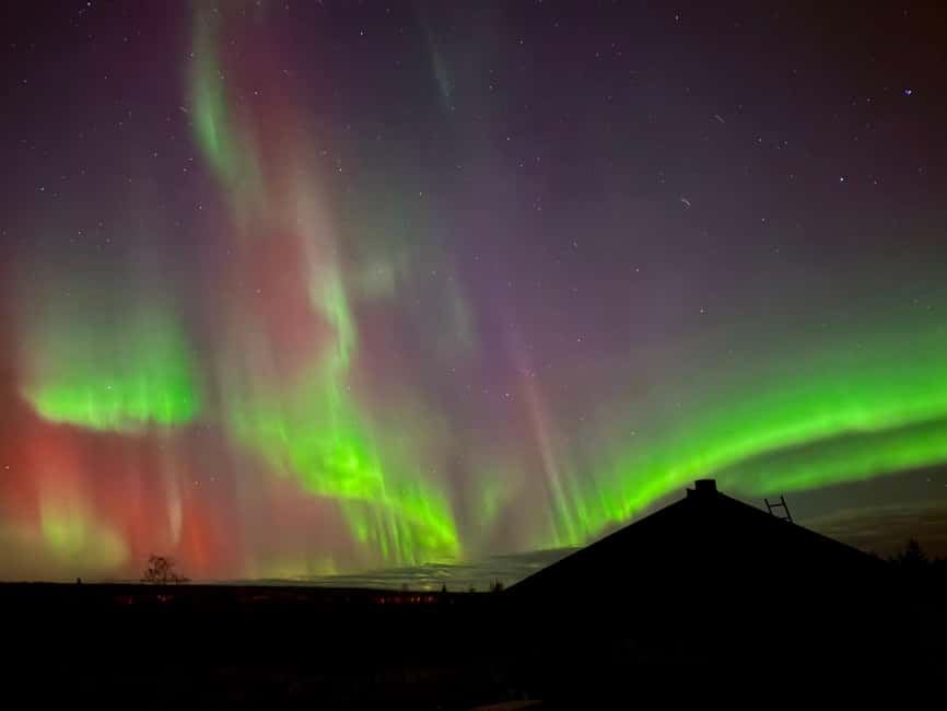 Rovaniemi: Aurora BBQ at the Best Spots - What to wear: winter clothing is included, but you still need common sense
