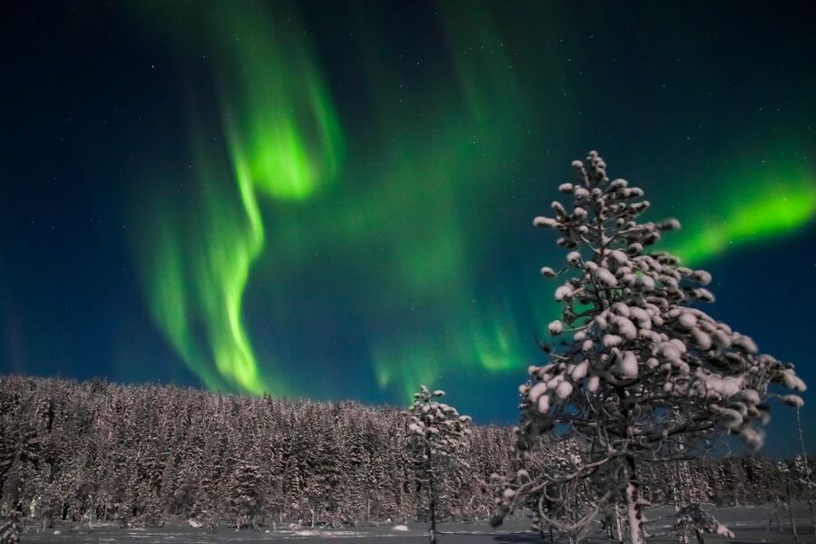 Rovaniemi: Aurora Borealis and Picnic - Price and Value at $108 for a 3-Hour Safari