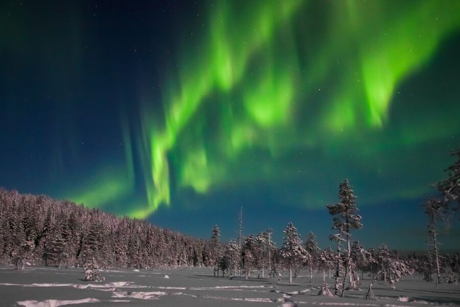 Rovaniemi: Aurora Borealis and Picnic - Should You Book This Aurora Borealis and Picnic Tour?