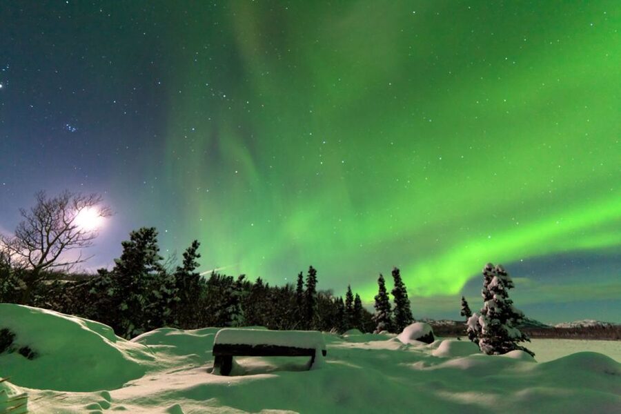 Rovaniemi: Aurora Borealis Snowmobile Safari with Campfire - Key things you’ll notice on this Rovaniemi snowmobile safari