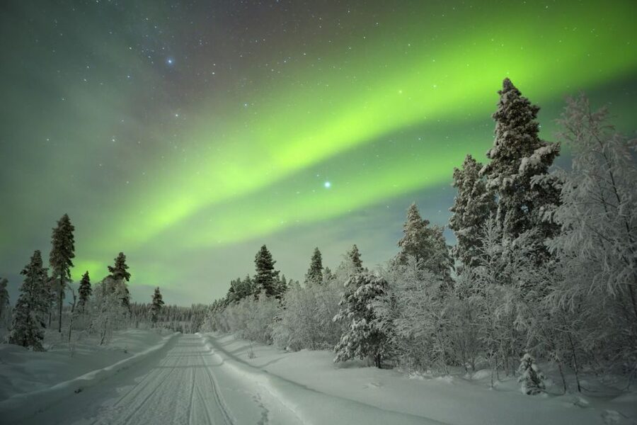 Rovaniemi: Aurora Borealis Snowmobile Safari with Campfire - Pickup and Meeting Points: Where You Start Your Night