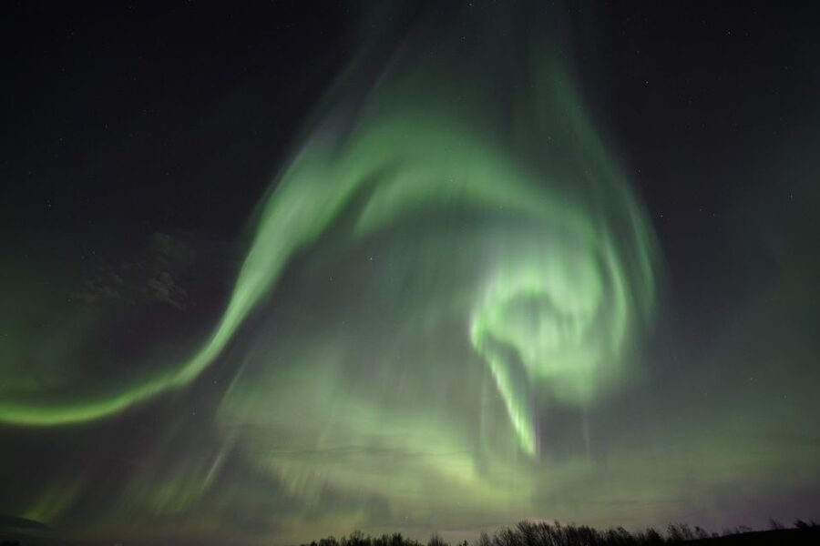 Rovaniemi: Aurora Borealis Tour - Who This Tour Fits Best (and Who Might Want Another Option)
